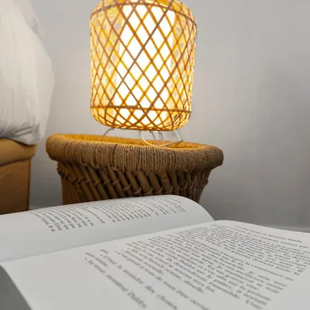 Le Carnot - Hypercentre - Cosy & Climatisation Apartamento *