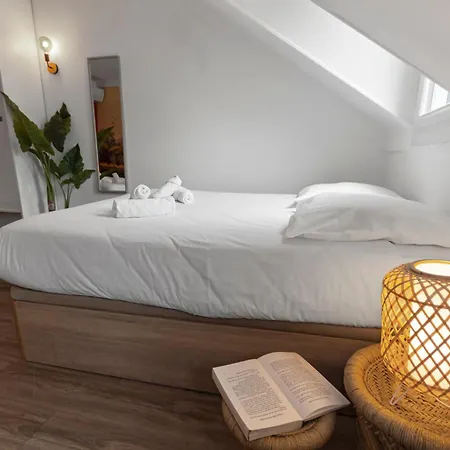 Le Carnot - Hypercentre - Cosy & Climatisation شقة *
